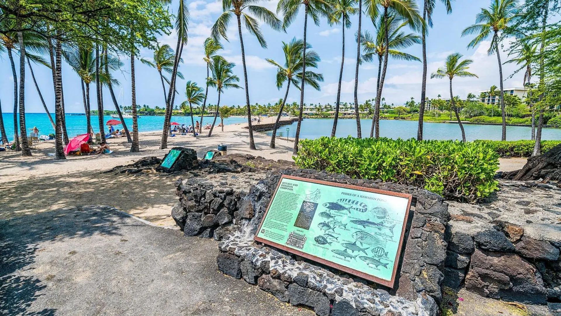 The Shores At Waikoloa 126